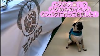 【初参戦】ミンパグ　100パグに囲まれてきました