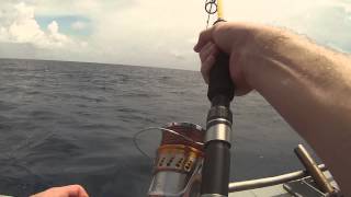 Medium Heavy Jigging during Day - Luconia