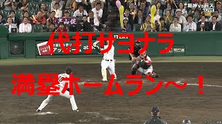 20190529 阪神対巨人　12回裏　高山 代打サヨナラ満塁HR‼️