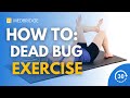 How to Do a Dead Bug Exercise | 30 Seconds | Physical Therapy | MedBridge