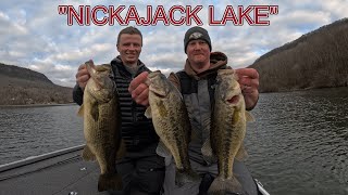 Nickajack lake Bass Fishing 2/1/2025