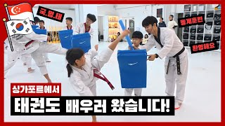 싱가포르에서 태권도를 배우러 한국에 왔습니다. Came to korea learn Taekwondo from Singapore. (Feat.국가대표 명학태권도장)