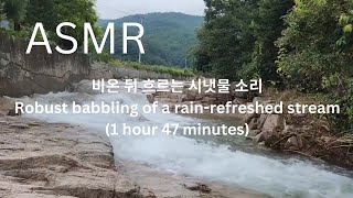 비온 뒤 흐르는 시냇물 소리 비 Robust babbling of a rain-refreshed stream (147 minutes) #asmr #백색소음