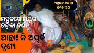 ମସ୍ତକରେ ମୟୂର ଚନ୍ଦ୍ରିକା ଦର୍ଶନ (କମଳା ଅପାଙ୍କ ଅନୁଭୂତି)