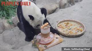 Happy birthday, dear Xing Hui \u0026 Xing Fan! The giantpanda twin celebrated their 5th birthday