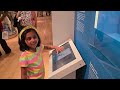 royal ontario museum through kid s eyes