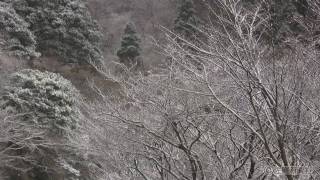 脊振山に樹氷、天山初冠雪