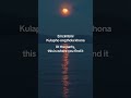 eMcimbini - DJ maphorisa & kabza de small [English Translation]