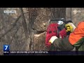 소나무재선충병 확산…“손 쓰기 어려운 수준” kbs 2024.02.14.