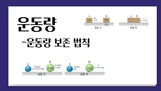 운동량 l 운동량 보존 법칙