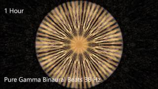 Pure Gamma Binaural Beats 38 Hz [1 Hour]