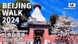 【Beijing Walk】北京西城區・元代遺跡：妙應寺白塔(白塔寺)的祈福與靜心之旅Miaoying Temple White Pagoda| 環境音 (2024/06)【4K】