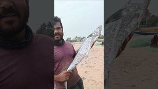 ఈ కార్తీకమాసంలో చేపలు ఇంత చవక.... #bvvillagevlogs #fisherman #villagefishing #kingfish #seafood