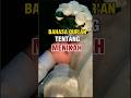 KAMU HARUS TAU, BAHASA AL-QUR'AN TENTANG MENIKAH #infoislami #islampedia #shortvideo