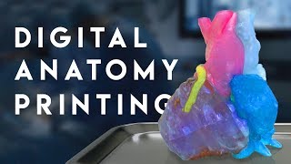 Simulating Human Anatomy with 3D Printing | The Stratasys J750 Digital Anatomy 3D Printer