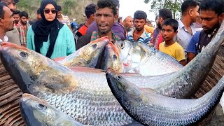 খাসির দামে বিক্রি হলো 😱 পদ্মার ইলিশ মাছ দেখুন | padma Ilish | Fish market | BD Fish price | DN Eyes