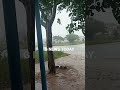 nagari heavy rain in nagari నగరిలో భారీ వర్షం rain chittoor puttur tirupati