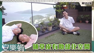 安樂蝸｜鋪草皮有助綠化空間｜家居設計