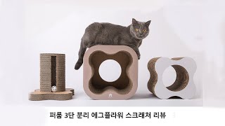 퍼룸 3단 분리 에그플라워 스크래쳐 리뷰