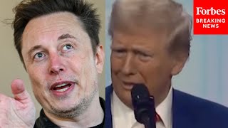 JUST IN: Trump Reacts To Claims That 'President Trump Has Ceded The Presidency To Elon Musk'