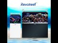 RevoReef® Infinity Reef Tank