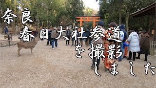 奈良　春日大社　参道撮影しました　2020　Kasuga Grand Shrine