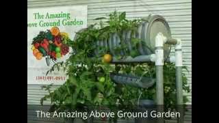 The Amazing Above Ground Garden