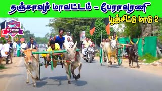 ⭕LIVE (நேரலை) | தஞ்சாவூர் மாவட்டம் | பேராவூரணி தாலுகா | பூஞ்சிட்டு மாடு பிரிவு -2  பந்தயம்