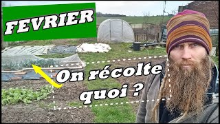 Visite du jardin potager du Nord en démontage ( on tourne la page ! )