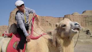 新疆之旅 2019 - 烏爾禾魔鬼城騎駱駝  Urho Ghost City Riding a Camel, Xinjiang - 12