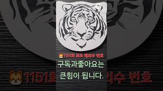 🐯1151회 로또 강력💥제외수 번호 공유~♡ ➡️ [완제 가즈아‼️]