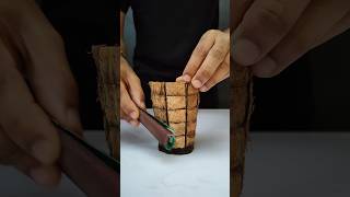 Coconut Shell DIY Ideas 🥥 🥥 🥥 |DIY|#shorts #diy #ideas #coconutshellcraft #craft