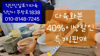 (익산신일토기다육)#다육화분#010-8148-7275#다육화분40%이상할인~특가,가장쌀때!