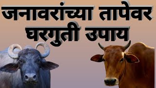 जनावरांच्या तापेवर घरगुती उपाय..(Home made remedies for animals temperature)