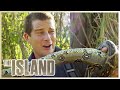 SURVIVING The Island 🏝️ | The Island With Bear Grylls | S01 E06 | Thrill Zone