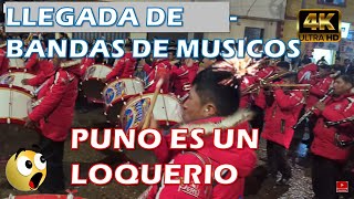 Bandas de Música en la Candelaria: ¡Un Espectáculo de Ritmo y Tradición!   / Puno  #candelaria2025