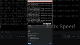 Python using Flask, Gunicorn & Nginx