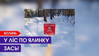 Волинян під Білоруссю попередили: в ліс не можна!