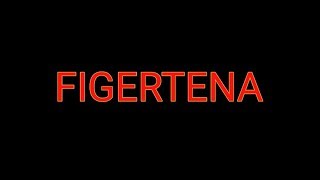 파이거테나 인트로\u0026아웃트로 모음 / FIGERTENA'S INTRO \u0026 OUTRO