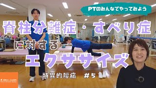 PTのみんなでやってみよう「 脊椎分離症・すべり症に対するエクササイズ」【湘陽かしわ台病院】