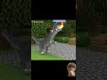 Poi-Poi-Poi-Poi-Poi-Poi-Po-PiBaby Steve vs. Dinosaur😁 #minecraft #minecraftmemes #animation #memes