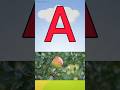 A for apple B for ball C for cat, phonics song, abc song, abcd rhymes #shorts #kindergardentv