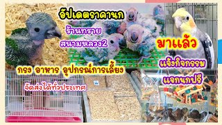 อัปเดตราคานก ร้านทราย สนามหลวง2  กรง อาหาร อุปกรณ์การเลี้ยง จัดส่งได้ทั่วประเทศ