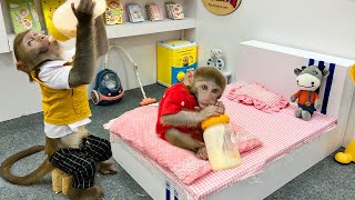 Bim Bim prepares breakfast and fruit dessert for baby monkey Obi