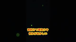 夜釣りで電気ウキの動きが変？ 何かがおかしい #shorts