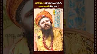 అఘోరాలు గంజాయి ఎందుకు  తగురుతారో తెలుసా | Why Aghoris Smoke Weed | Rahasyavaani | #shorts #ytshorts