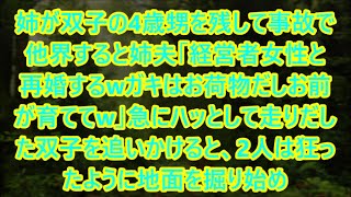 姉が双子の4歳甥を残して事故で他界すると姉夫「経営者女性と再婚するwガキはお荷物だしお前が育ててw」急にハッとして走りだした双子を追いかけると、2人は狂ったように地面を掘り始め【スカッと】 1