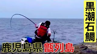 鹿児島【薩摩】黒潮石鯛【甑島】激釣編@323