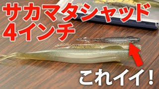 サカマタシャッドの最小サイズが予想以上に万能だった！【爆買いスピリッツ】