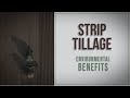 Strip Tillage: Environmental Benefits